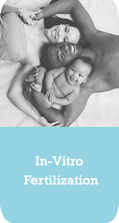 In-Vitro