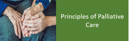 palliative-care