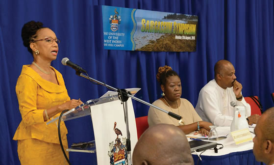 Vice-Chancellor and Principal Professor V. Eudine Barriteau delivering Opening Remarks at the Sargassum Symposium