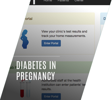 Diabetes in Pregnancy: Technology for Health